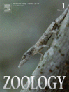 Huyghe, K., A. Herrel, B. Vanhooydonck, J.J. Meyers and D.J. Irschick (2007) Microhabitat use, diet, and performance data on the Hispaniolan twig anole, Anolis sheplani. Zoology 110: 2-8
